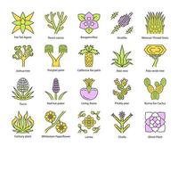 woestijn planten kleur pictogrammen instellen. exotische flora. californië woestijncactussen, gras en bomen. Amerikaanse en Mexicaanse vetplanten, palmen. geïsoleerde vectorillustraties vector