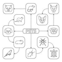 huisdieren mindmap met lineaire pictogrammen. huisdieren concept regeling. Britse kat, Canadese sphynx, Duitse herder, mopshond, fret, spin, schildpad, kakkerlak, papegaai, cavy. geïsoleerde vectorillustratie vector