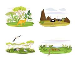 Australische landschap. planten, dieren en bomen. vector