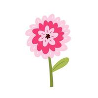 schattige roze zinnia met bladeren geïsoleerd op een witte achtergrond. vectorillustratie in handgetekende vlakke stijl. perfect voor kaarten, logo, decoraties, lente- en zomerontwerpen. botanische illustraties. vector