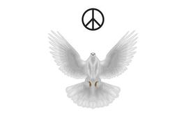 vredesdag hemel duif dag van liefdadigheid gelukkig vectorelement tekening vogel wit geloof liefde eenvoud vector