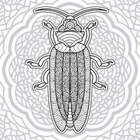 insecten mandala kleurplaten. vector