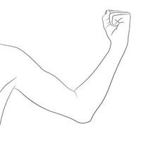 vrouwelijke biceps, goed afgezwakt. elleboog-gebogen arm die vooruitgang na fitness toont. vectorillustratie, zwart-wit contour. vrouw sport infographic concept. vector