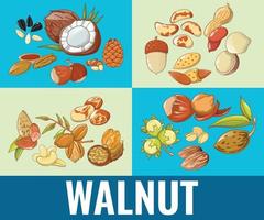 walnoot concept banner, cartoon stijl vector