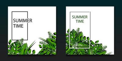 zomer achtergrond met blad decoratie vector design