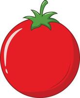 verse enkele rode tomaat vectorillustratie vector