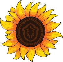 zonnebloem illustratie hand tekenen zomer sfeer hoog gedetailleerd vector
