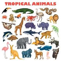 tropische dieren concept achtergrond, cartoon stijl vector