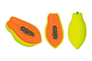 exotische papaya veganistisch fruit vector platte geïsoleerde illustratie