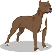 bruine pitbull hond vector