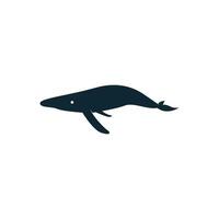 walvis pictogram logo illustratie sjabloon vector