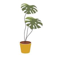 monstera kamerplant in keramieken pot vector