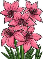 amaryllis bloem cartoon gekleurde clipart vector