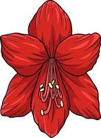 amaryllis bloem cartoon gekleurde clipart vector