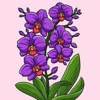orchidee bloem gekleurde cartoon afbeelding vector