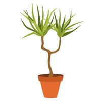 kamerplant in pot. gebladerte kamerplant groeit in bloempot. groene bladdecoratie voor interieur. natuurlijke binneninrichting. hand tekenen vectorillustratie geïsoleerd op een witte achtergrond vector