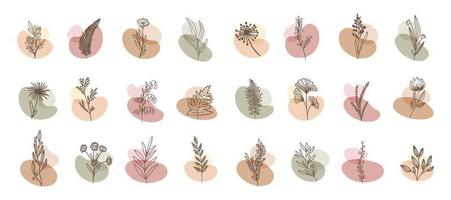 set bloem boho abstracte vorm met bladeren ornamenten vector