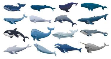 walvis pictogrammenset, cartoon stijl vector