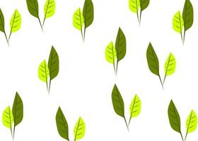 naadloze patroon bladeren groene witte achtergrond vectorillustratie vector