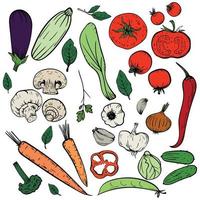 groenten hand getekende illustratie schets kleurrijke vector menu set. prei, keukenkruiden, knoflook, komkommer, paprika, ui, bleekselderij, asperges, kool, champignons, wortel, tomaat, aubergine, doperwten en ets