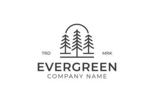 pine evergreen of conifer ceder naaldhout cipres lariks, dennenboom bos vintage lijn kunst logo vector ontwerpsjabloon