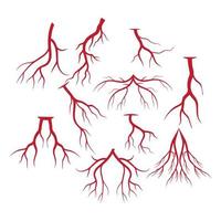 menselijke aderen, ontwerp van rode bloedvaten en slagaders vectorillustratie geïsoleerd vector