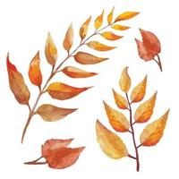 dode herfst droge boombladeren in boho-stijl illustratie aquarel vector
