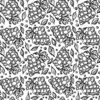 naadloos druivenpatroon. doodle vector met druiven pictogrammen. vintage druivenpatroon