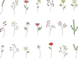 zomerbloemen instellen. zwart-wit doodle illustratie geïsoleerd op een witte achtergrond. set doodles van planten en bloemen illustratie vector