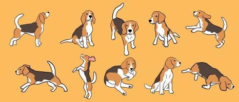set van beagle hond in verschillende poses. kleine jachthond met bruin-witte vacht en lange oren. puppy met schattige snuit op gele achtergrond vector
