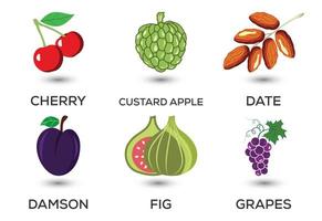 set van fruit. verschillende kleurrijke vruchten. vers voedsel, gezond eetconcept. vector illustratie