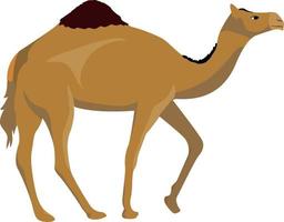 kameel staat en loopt vector
