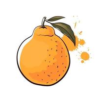 harnabong oranje. handgetekende vectorillustratie vector