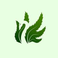 groene zwaan cannabis logo afbeelding ontwerp vector