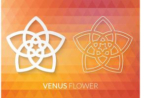 Gratis Vector Venus Flower Pentagram