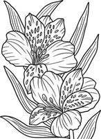 alstroemeria bloem kleurplaat voor volwassenen vector