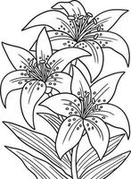 lelies bloem kleurplaat voor volwassenen vector