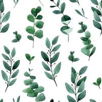 aquarel tekening. naadloos patroon met tropische bosbladeren. groene eucalyptus bladeren afdrukken geïsoleerd op een witte achtergrond vector