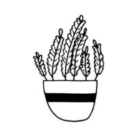 heide in een pot pictogram hand getrokken. , minimalisme, scandinavisch, monochroom, nordic sticker plant bloem vector