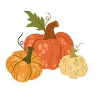 pompoenen. herfst compositie met pompoenen. verse groenten. oogsten. uitnodiging voor de dankzegging van het herfstseizoen. vector platte cartoon afbeelding geïsoleerd op de witte achtergrond.