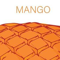 mango fruit textuur voor achtergrond en vector