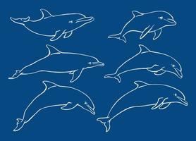 set van dolfijn. handgetekende illustratie geconverteerd naar vector. vector met dier onder water.