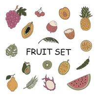 fruit set. hand getekend tropisch fruit op een witte achtergrond. mangosteen, papaja, drakenfruit en andere. vector