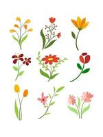 esthetisch bloemdecor vector