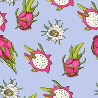 rode drakenvrucht. fruit naadloos patroon met pitahaya's. ontwerp voor stof, textiel, behang, verpakking. vector