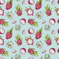 rode drakenvrucht. fruit naadloos patroon met pitahaya's. ontwerp voor stof, textiel, behang, verpakking. vector