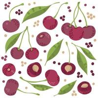 hand getrokken schets stijl vector cherry set geïsoleerd op een witte achtergrond, eco voedsel illustratie