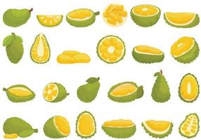 jackfruit pictogrammen instellen cartoon vector. veganistisch fruit vector