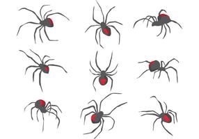 Zwarte weduwe spinnenvectoren vector