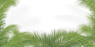 palmtak, kokosblad, tropische plant